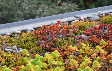 the cost of Red Dial green roof installation