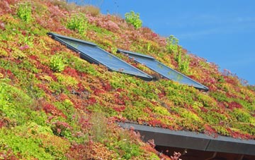 Red Dial living roof systems