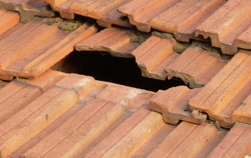 roof repair Red Dial, Cumbria